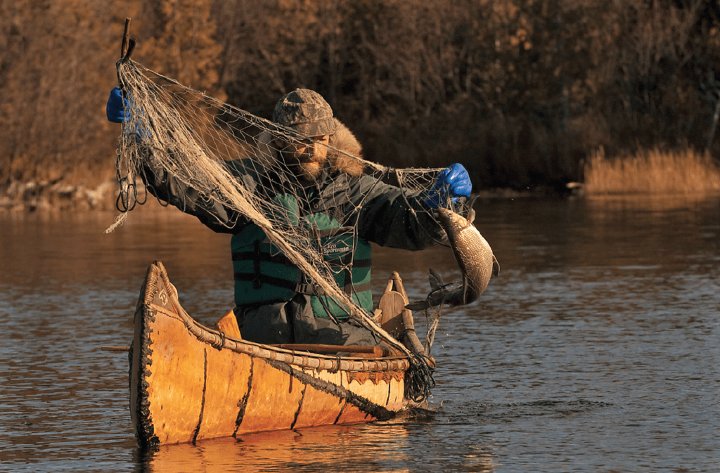 Meet Erik Simula, Birch Bark Canoe Builder –